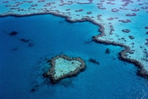 Great Barrier Heart Reef Australia Wallpaper