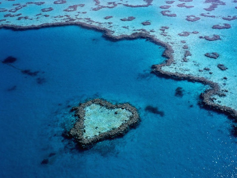 Great Barrier Heart Reef Australia Wallpaper