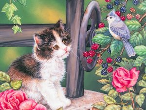 Kitten Blue Jay Painting Wallpaper