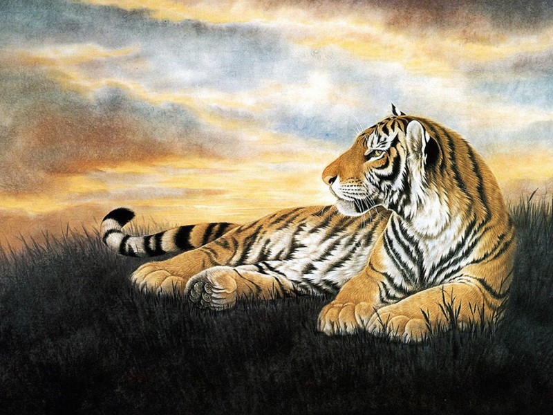 Lone Tiger Painting Wallpaper