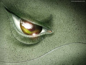 Dolphin Eye Wallpaper