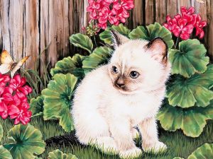 Kitten Butterfly Painting Wallpaper