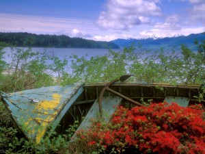 Abandoned Boat, Hood Canal, Washington