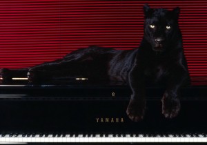 Black Panther Piano Wallpaper