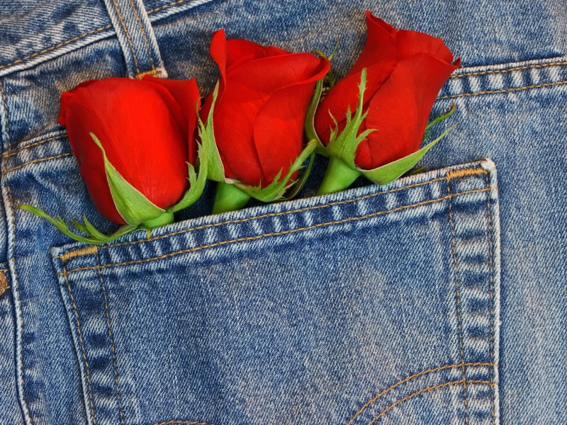 Blue Jeans Pocket Roses Wallpaper