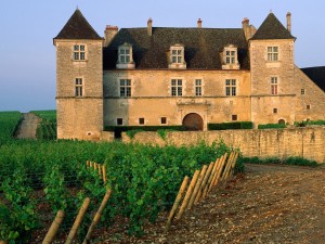 Clos de Vougeot Vineyard France Wallpaper