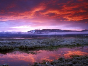 Conboy Lake Wildlife Refuge Washington Wallpaper