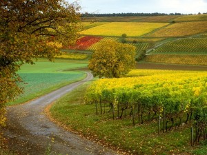 France Beautiful Nature Wallpaper