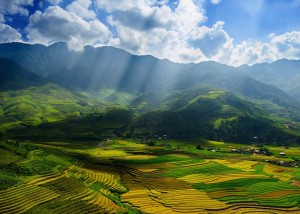 Mu Cang Chai District Vietnam Wallpaper