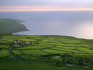 Rosemergy Farm Cornwall England Wallpaper