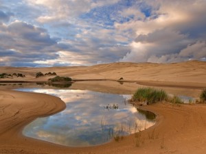 Siuslaw National Forest Oregon Wallpaper