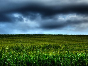 Storm Brewing Countryside Wallpaper