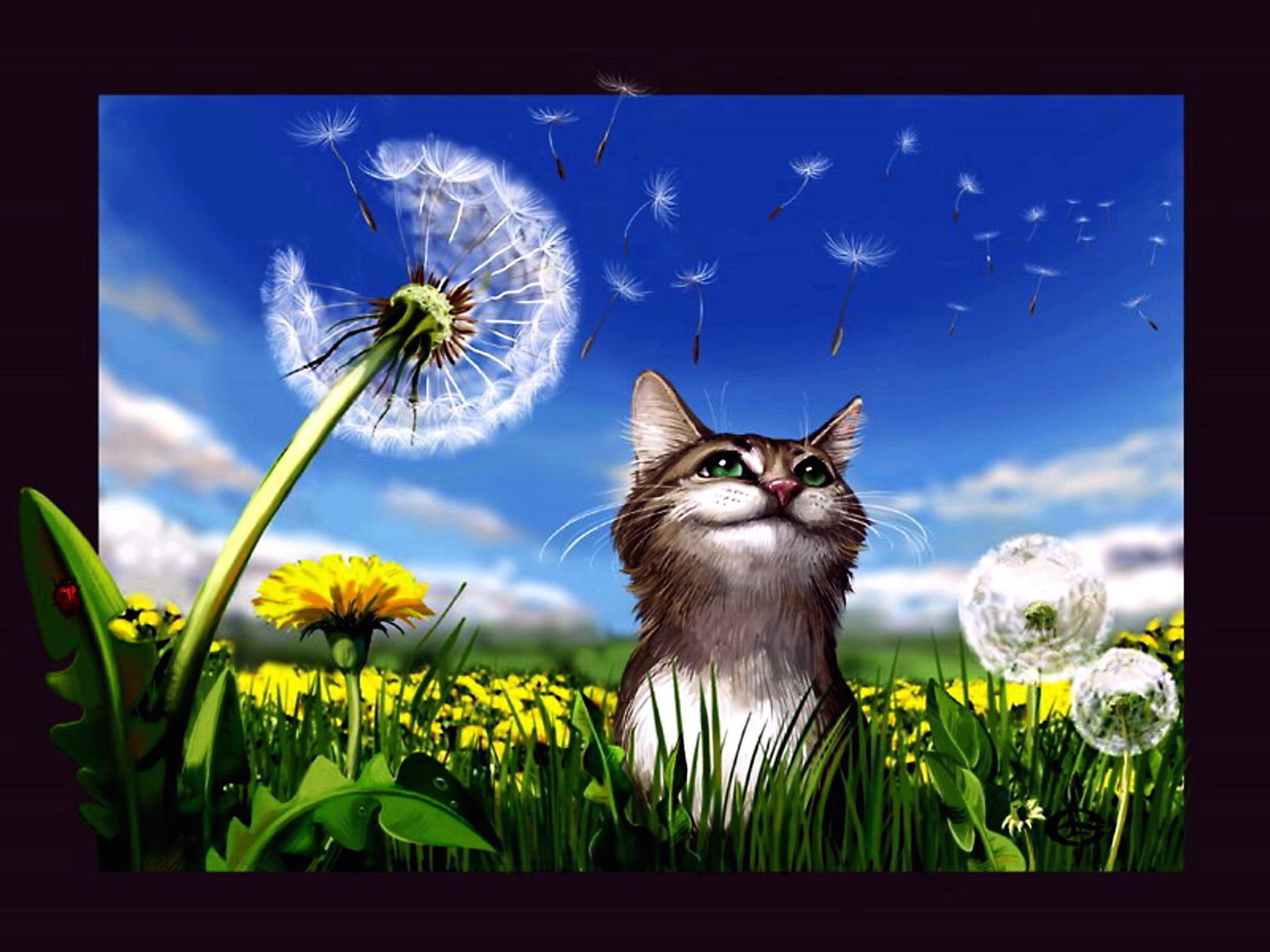 Позитивного весеннего дня и хорошего настроения. Котик в одуванчиках. Летний кот. Одуванчики и животные. КЛТ И одуванчик.