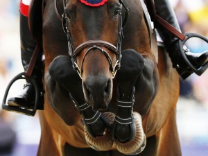 Equestrian Sport Wallpaper