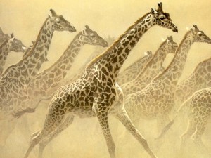 Giraffes Painting Wallpaper