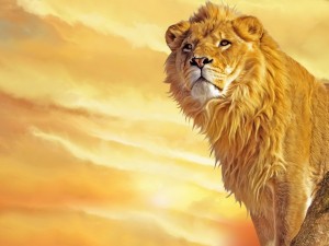 Lion Painting Wallpaper