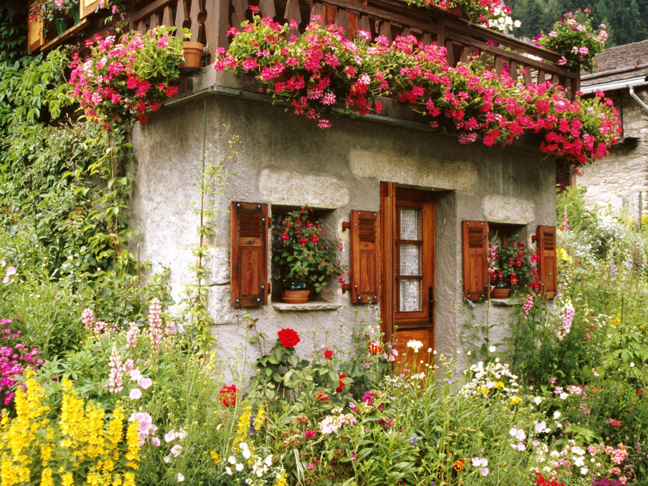  home garden image
