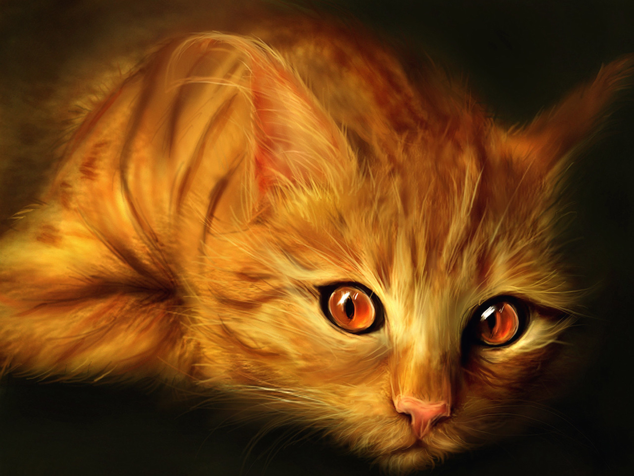 Orange Cat Painting Wallpaper Free HD Background