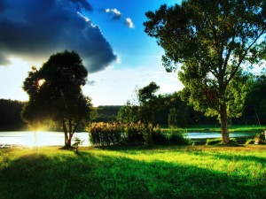 Beautiful Summer Day Landscape Wallpaper