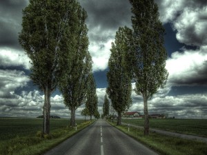 Countryside Nature Road Wallpaper