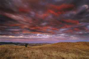 Landscape, Red Sunset Over Grasslands In Coastal Mountain Range.