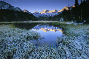 Mountain Meadow In Morning Light With Peaks Reflecting In Water. Wide Angle.