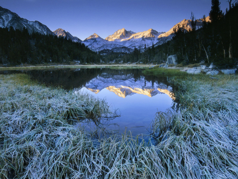 Mountain Meadow In Morning Light With Peaks Reflecting In Water. Wide Angle.