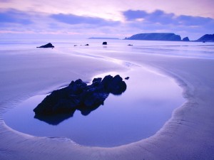 Purple Beach Landscape Wallpaper