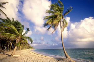Palm Beach At Punta Cana, Dominican Republic, Caribbean