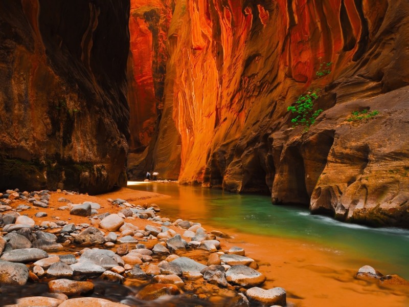 Zion National Park Canyon Overlook At Dawn 4k HD Nature 4k Wallpapers  Images Backgrounds Photos and Pictures