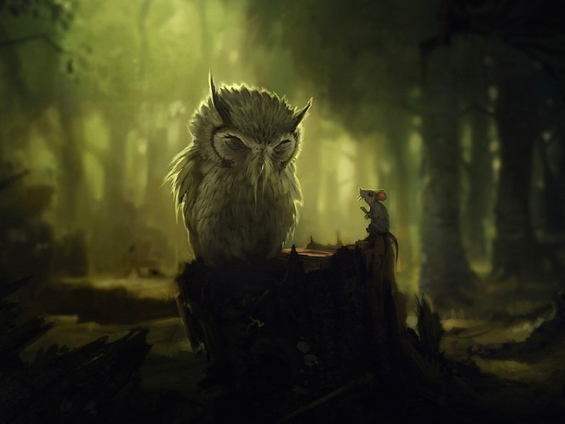 Fantasy Night Owl Wallpaper