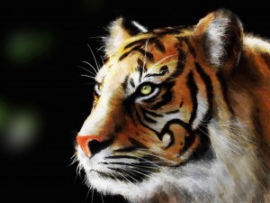 Tiger Eye Painting Wallpaper