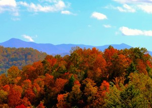 Fall Colors North Carolina Mountains Wallpaper