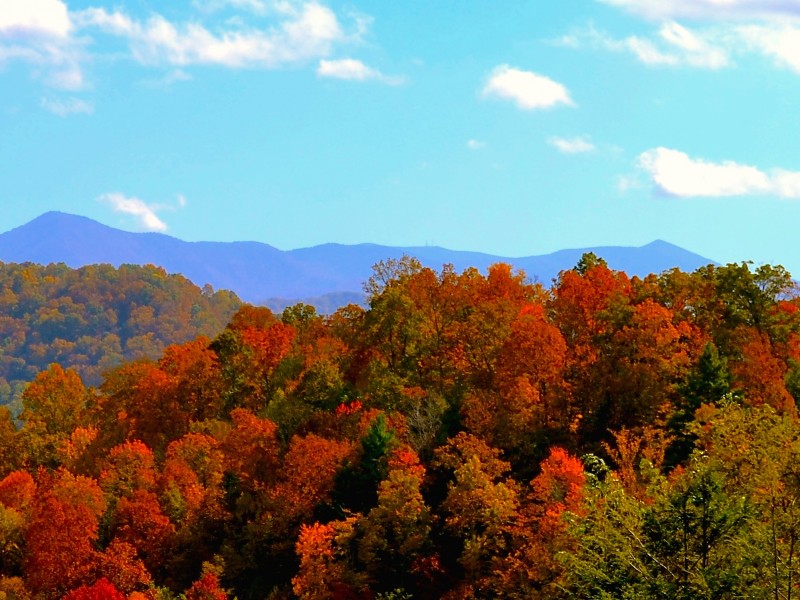 Fall Colors North Carolina Mountains Wallpaper