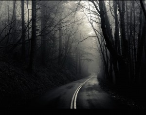 Dark Foggy Road Wallpaper