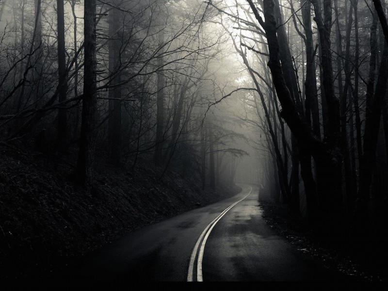 Dark Foggy Road Wallpaper