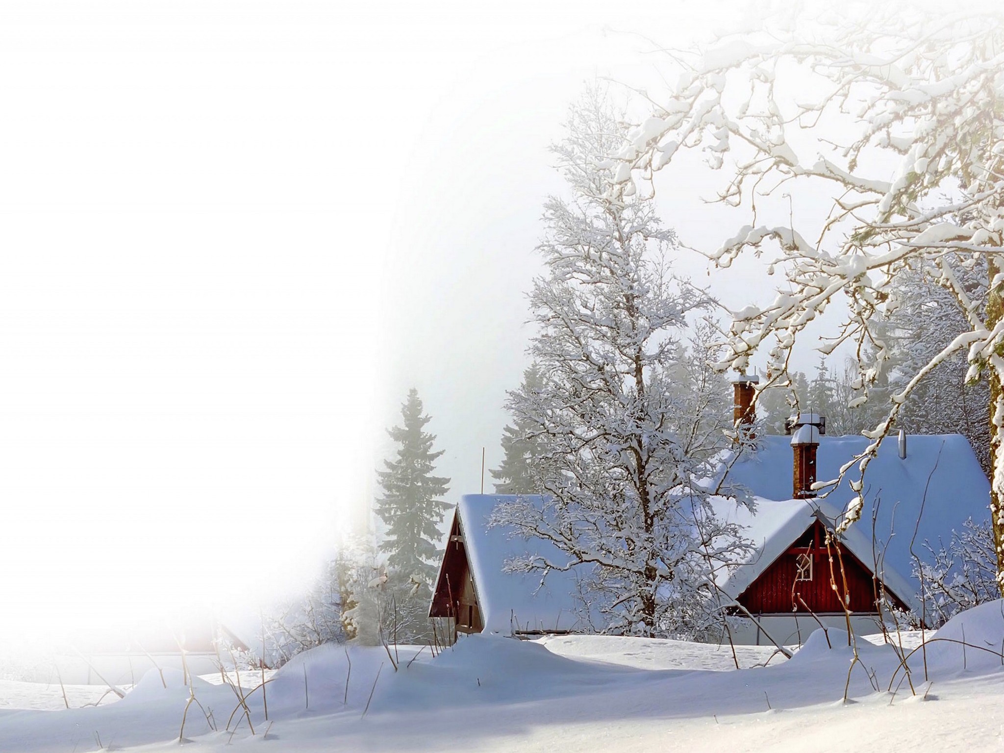 Snowfall HD Wallpaper | Free HD Winter Images