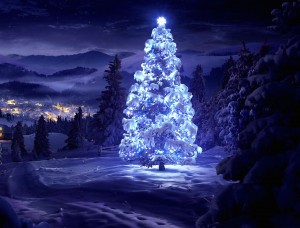 Snowy Christmas Tree Wallpaper