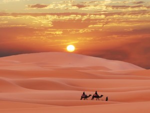 Desert Journey Wallpaper