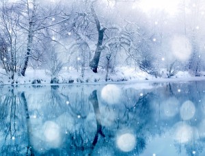 Snowy Lake Wallpaper