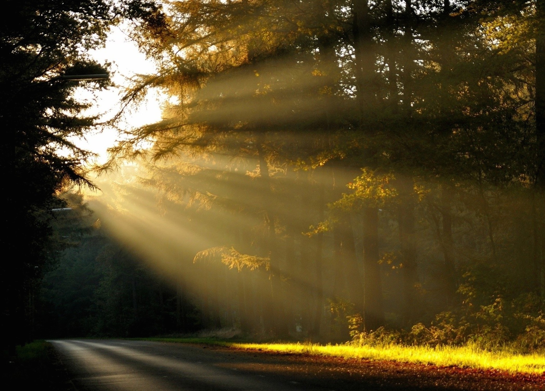 Sunlit Road Wallpaper | Free HD Landscape Images