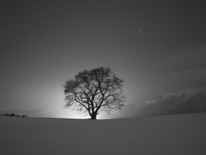 Quiet Winter Night Wallpaper