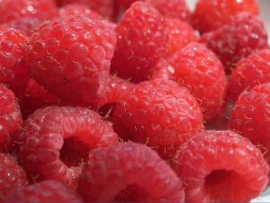 Ripe Raspberries Wallpaper