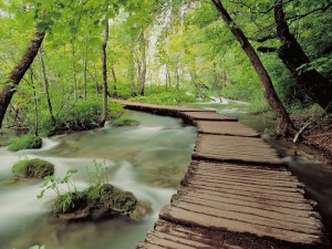 Plitvice Lakes National Park-Croatia Wallpaper