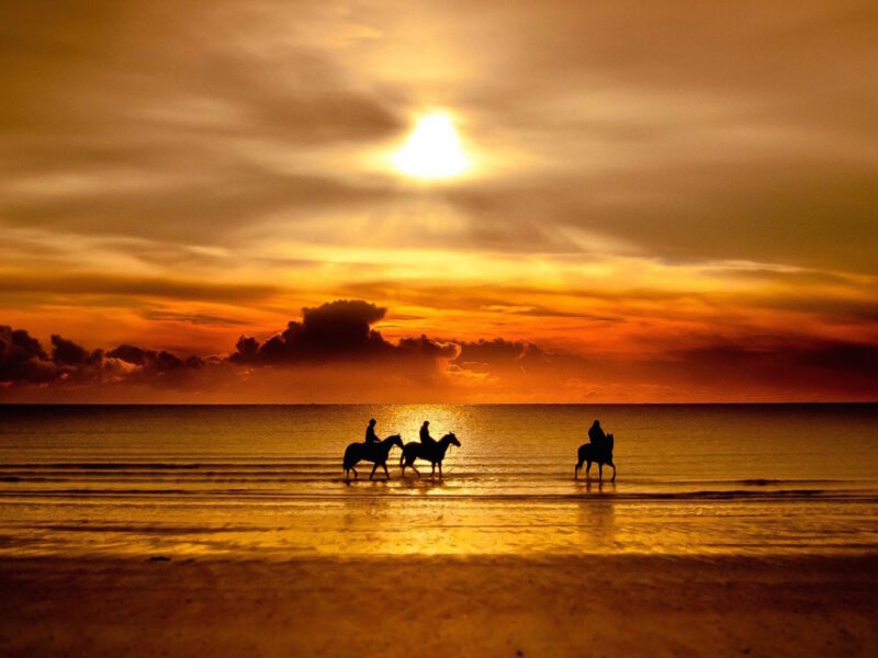 Beach Horse Riding Wallpaper