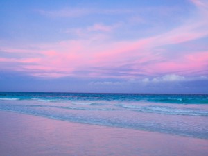 Pink Sand Beach-Harbour Isle-Bahamas Wallpaper